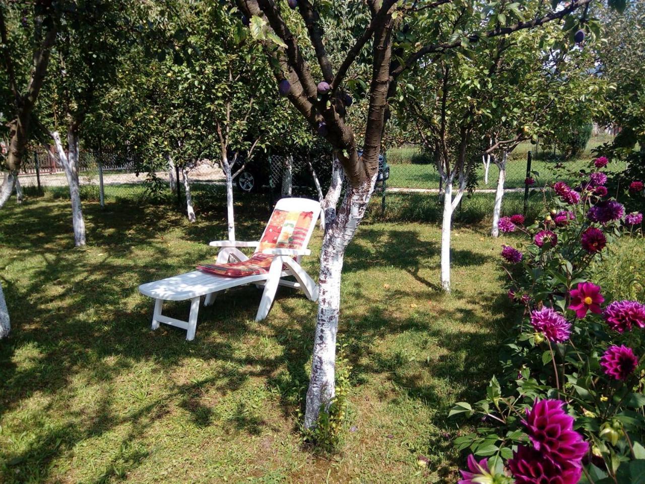 Sunny Paradise Бихач Экстерьер фото